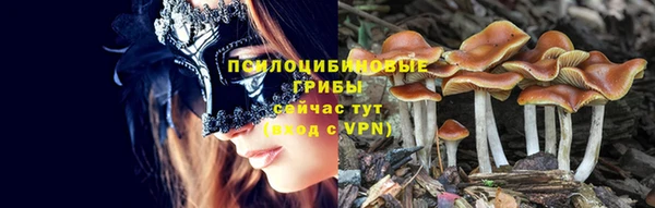 СК Дмитров