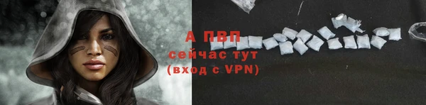 СК Дмитров