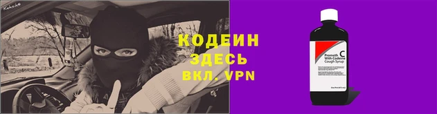 СК Дмитров