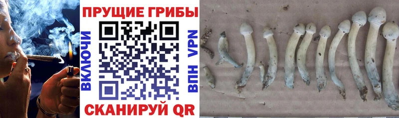 Псилоцибиновые грибы MAGIC MUSHROOMS  Купить где  Певек 